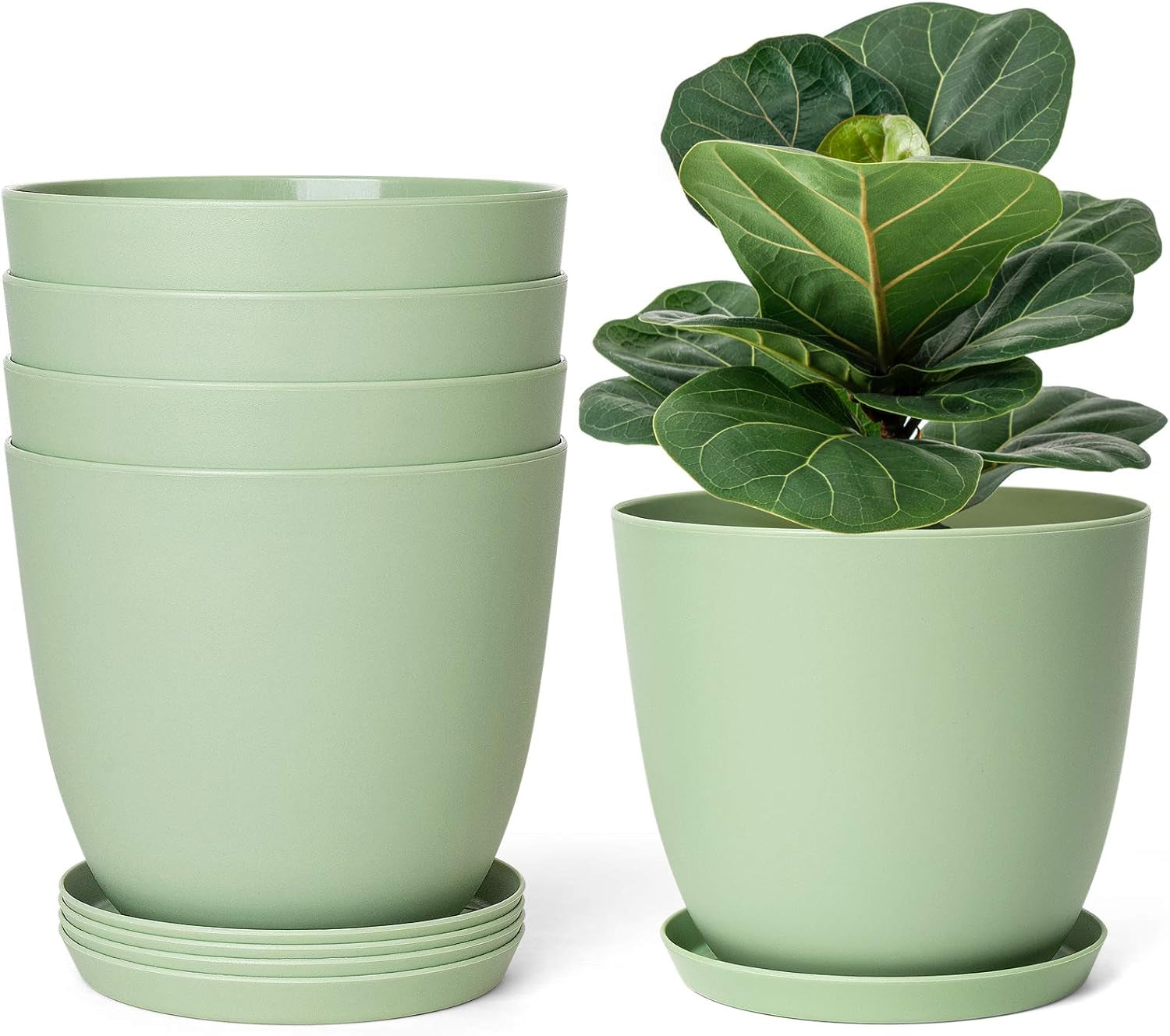 Set of 5 Modern 6.5" Plastic Plant Pots with Saucers and Drainage Holes for Indoor Use - Ideal for House Plants, Herbs, Flowers, and Seedlings