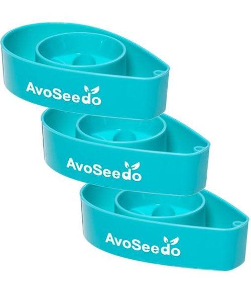 AvoSeedo 3-Pack | Avocado Seed Germination Kit | Easy & Successful Growing Solution - UrbanSprout