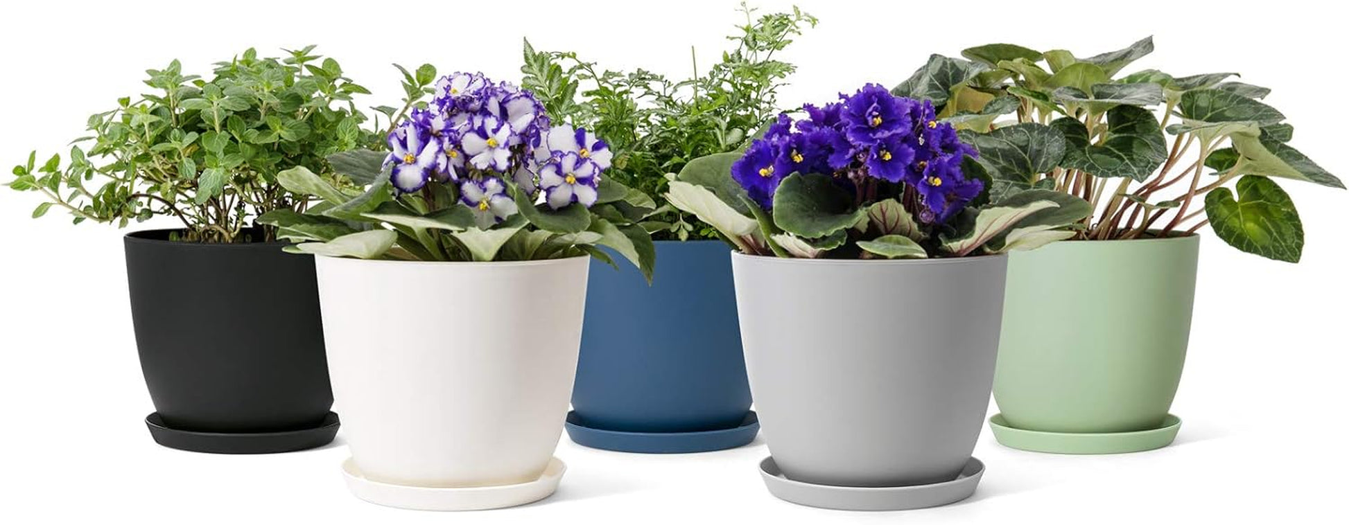 Set of 5 Modern 6.5" Plastic Plant Pots with Saucers and Drainage Holes for Indoor Use - Ideal for House Plants, Herbs, Flowers, and Seedlings