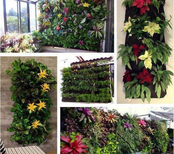 Vertical Wall Garden Planter – Hanging Planting Bags for Indoor & Outdoor Use - UrbanSprout