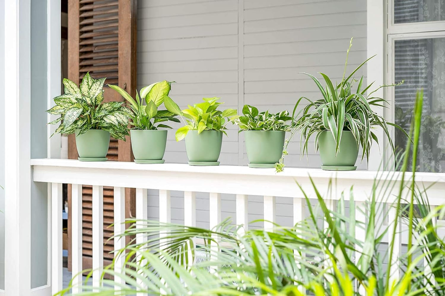 Set of 5 Modern 6.5" Plastic Plant Pots with Saucers and Drainage Holes for Indoor Use - Ideal for House Plants, Herbs, Flowers, and Seedlings
