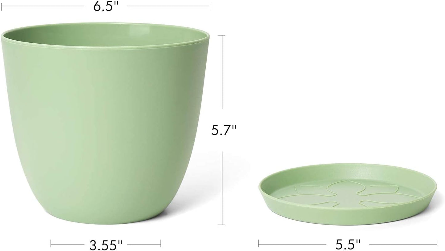 Set of 5 Modern 6.5" Plastic Plant Pots with Saucers and Drainage Holes for Indoor Use - Ideal for House Plants, Herbs, Flowers, and Seedlings