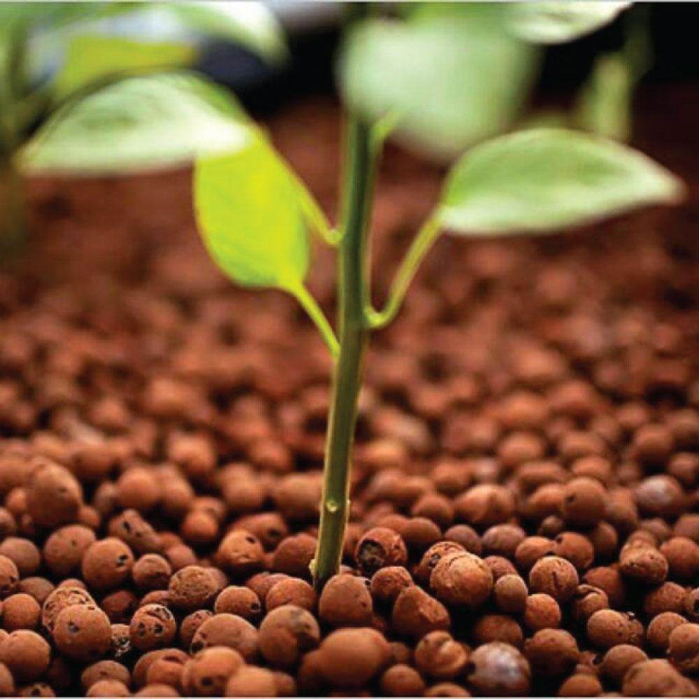 Premium Hydro Clay Balls for Hydroponics – Inert Expanded Clay for Optimal Drainage & Root Growth - UrbanSprout
