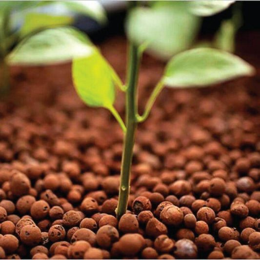 Premium Hydro Clay Balls for Hydroponics – Inert Expanded Clay for Optimal Drainage & Root Growth - UrbanSprout