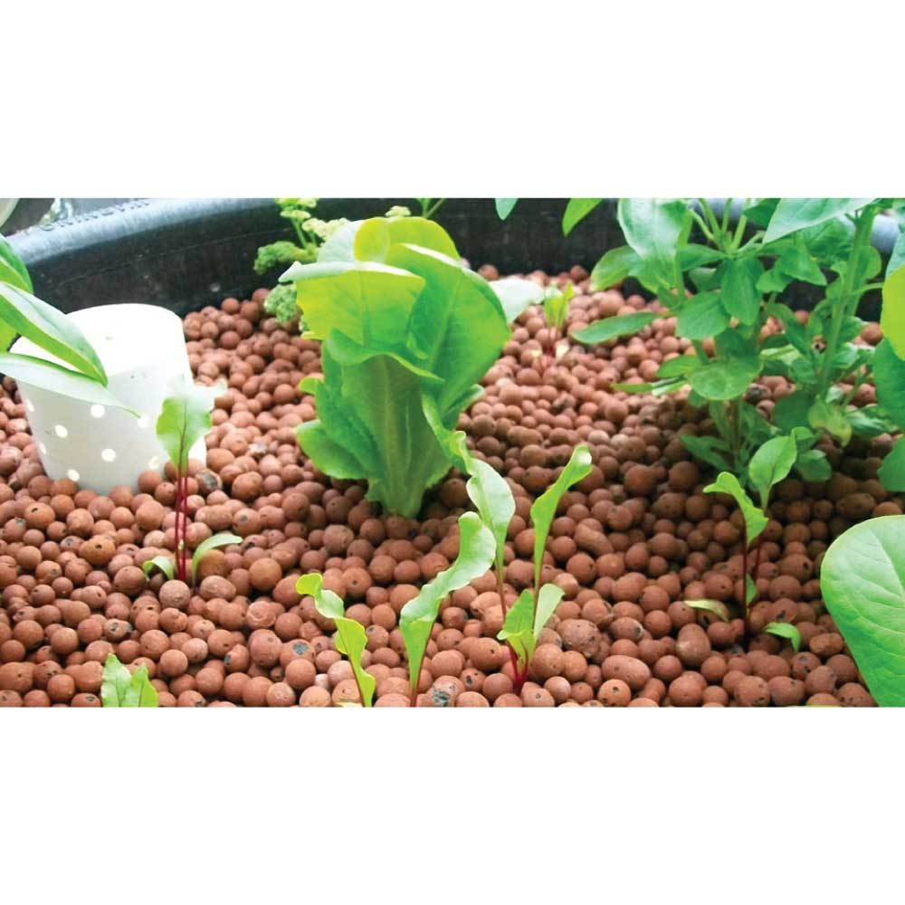 10L Premium Hydro Clay Balls - Natural Expanded Hydroponic Plant Growth Medium