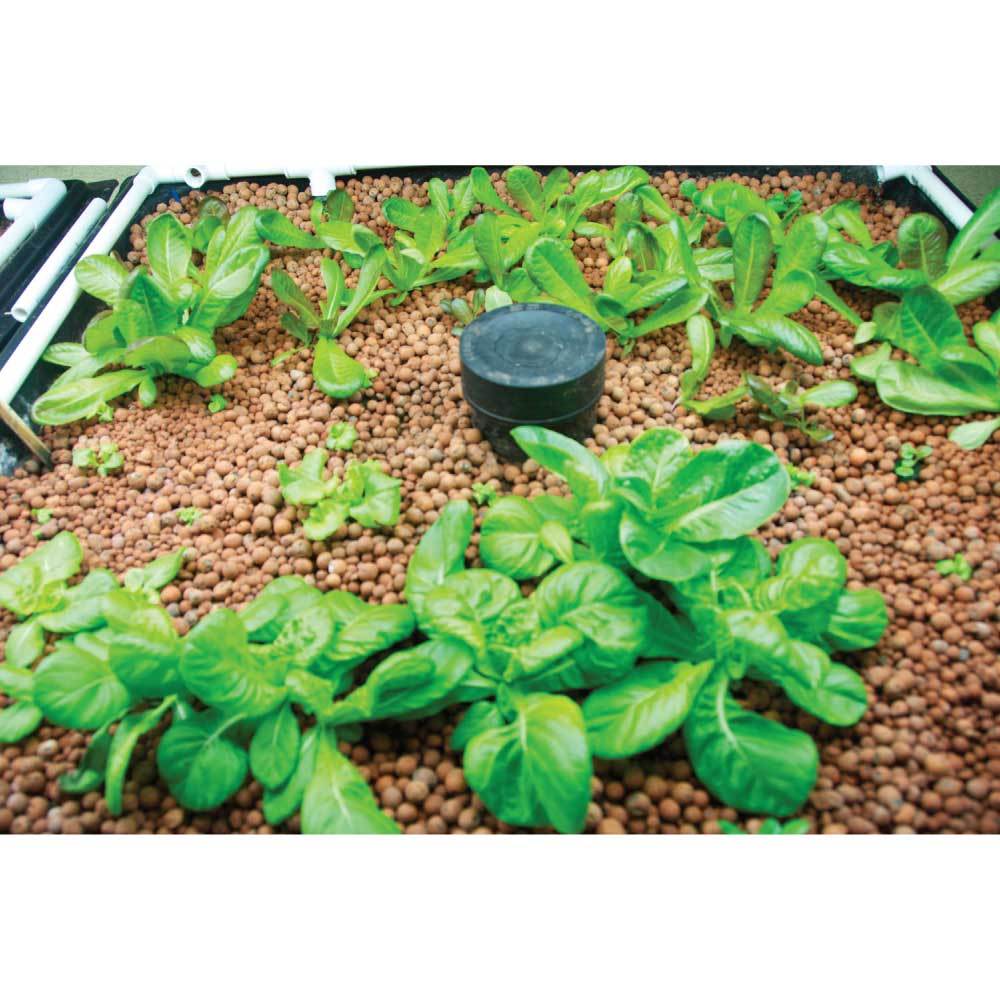 10L Premium Hydro Clay Balls - Natural Expanded Hydroponic Plant Growth Medium