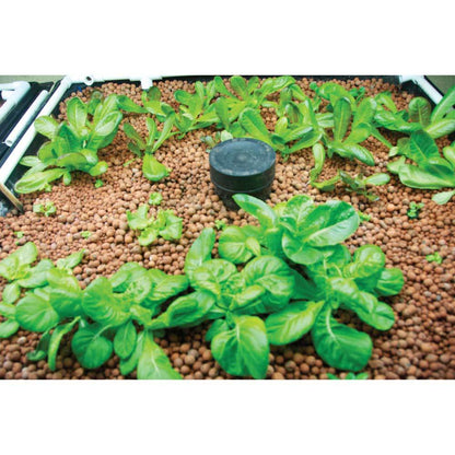 10L Premium Hydro Clay Balls - Natural Expanded Hydroponic Plant Growth Medium