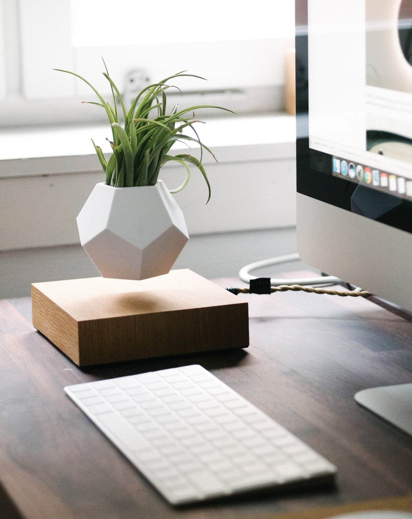 Lyfe Planter - Geodesic Floating Plant Pot with Oak Base | Levitation Technology for Unique Home Decor - UrbanSprout