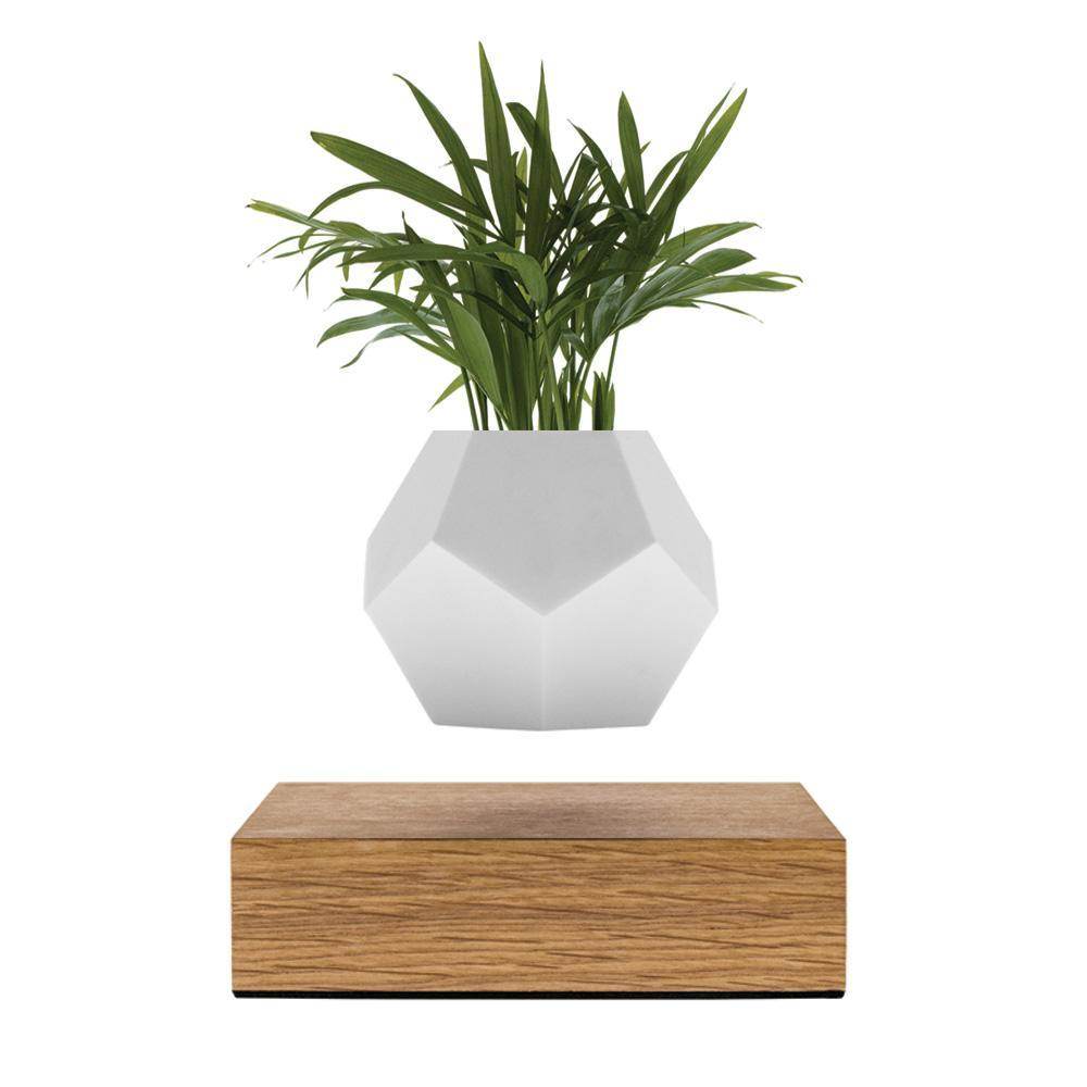 Lyfe Planter - Geodesic Floating Plant Pot with Oak Base | Levitation Technology for Unique Home Decor - UrbanSprout