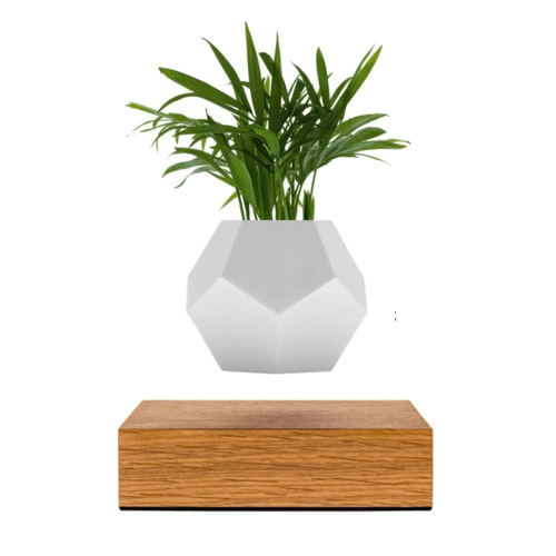 Lyfe Planter - Geodesic Floating Plant Pot with Oak Base | Levitation Technology for Unique Home Decor - UrbanSprout