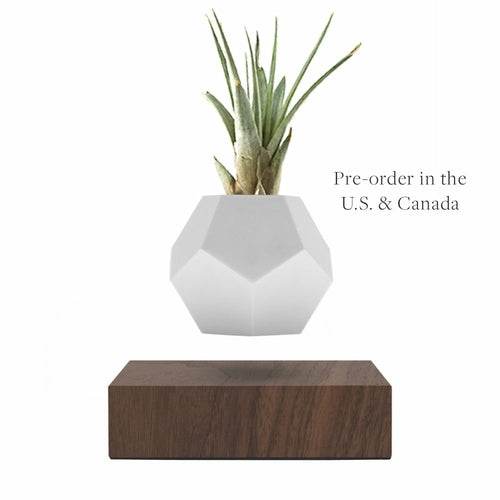 Lyfe Planter - Geodesic Floating Plant Pot with Oak Base | Levitation Technology for Unique Home Decor - UrbanSprout