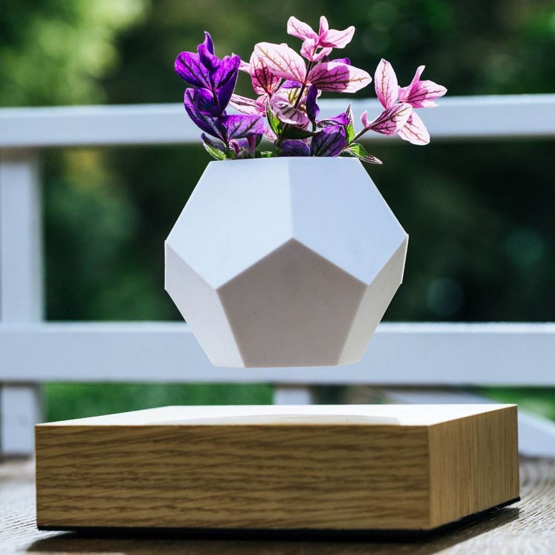 Lyfe Planter - Geodesic Floating Plant Pot with Oak Base | Levitation Technology for Unique Home Decor - UrbanSprout