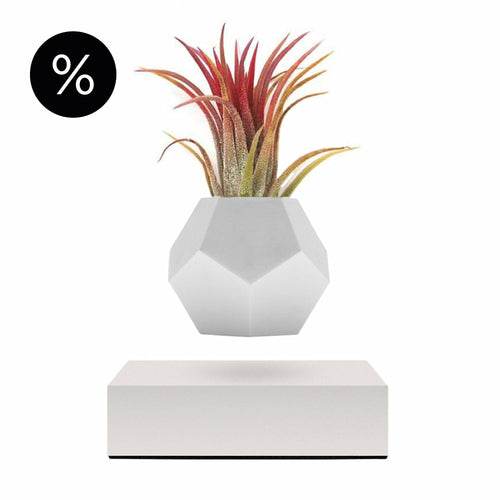 Lyfe Planter - Geodesic Floating Plant Pot with Oak Base | Levitation Technology for Unique Home Decor - UrbanSprout