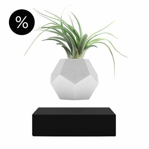 Lyfe Planter - Geodesic Floating Plant Pot with Oak Base | Levitation Technology for Unique Home Decor - UrbanSprout