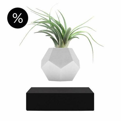 Lyfe Planter - Geodesic Floating Plant Pot with Oak Base | Levitation Technology for Unique Home Decor - UrbanSprout