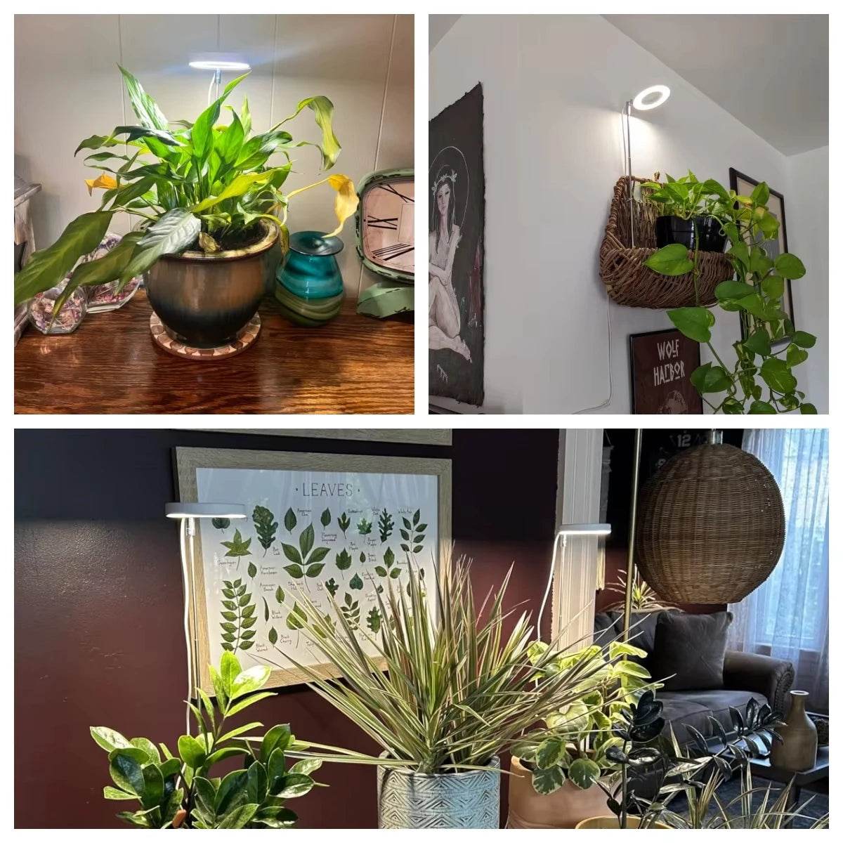 Full Spectrum LED Grow Light – Height & Angle Adjustable, USB Powered with Timer for Indoor Plants - UrbanSprout