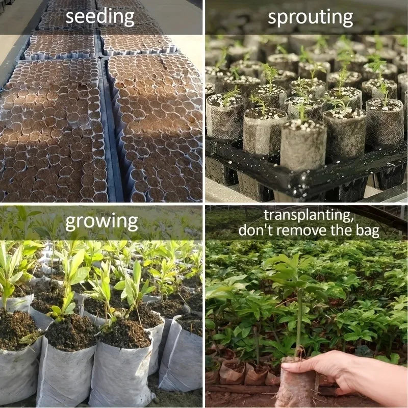 Biodegradable Seed Nursery Grow Bags