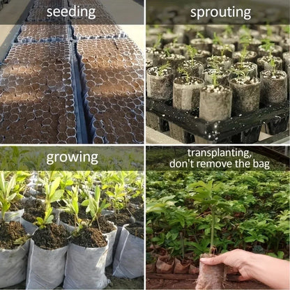 Biodegradable Seed Nursery Grow Bags