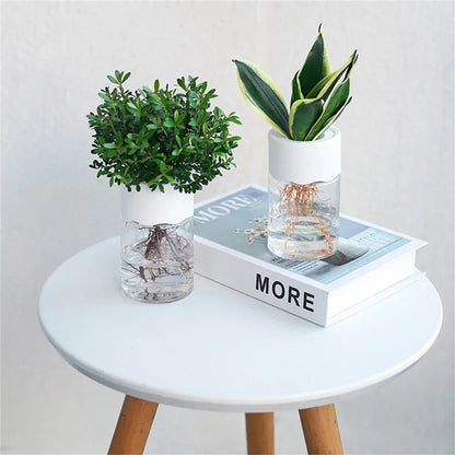 Mini Hydroponic Home Flower Pot