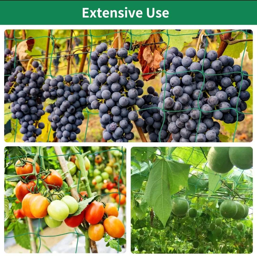 Heavy-Duty Nylon Plant Trellis Netting for Climbing Plants and Vegetables - UrbanSprout