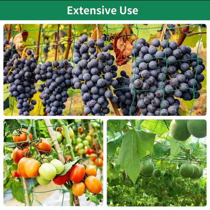 Heavy-Duty Nylon Plant Trellis Netting for Climbing Plants and Vegetables - UrbanSprout