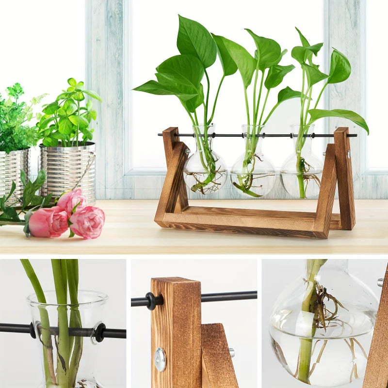 Glass Bulb Planter Wooden Stand