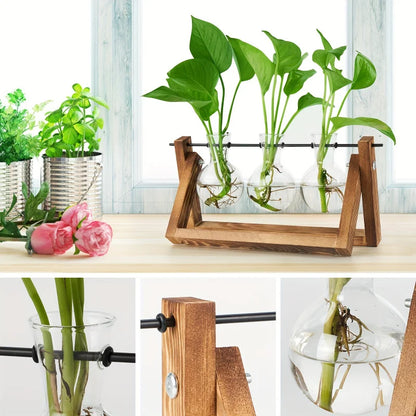 Glass Bulb Planter Wooden Stand
