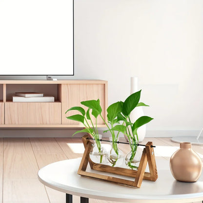 Glass Bulb Planter Wooden Stand