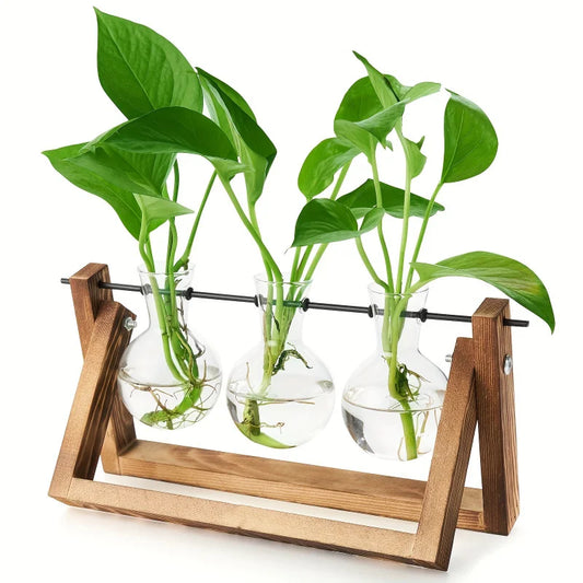 Glass Bulb Planter Wooden Stand