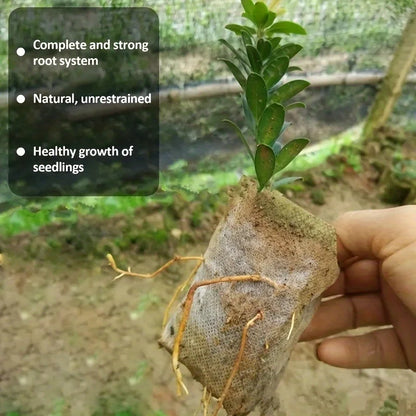 Biodegradable Seed Nursery Grow Bags