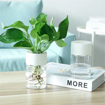 Mini Hydroponic Home Flower Pot