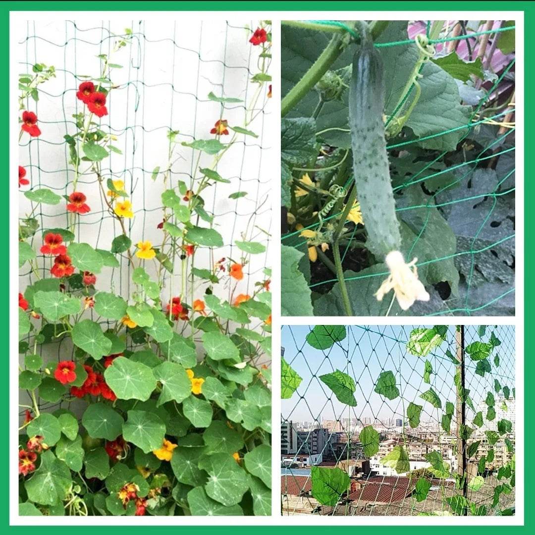 Heavy-Duty Nylon Plant Trellis Netting for Climbing Plants and Vegetables - UrbanSprout