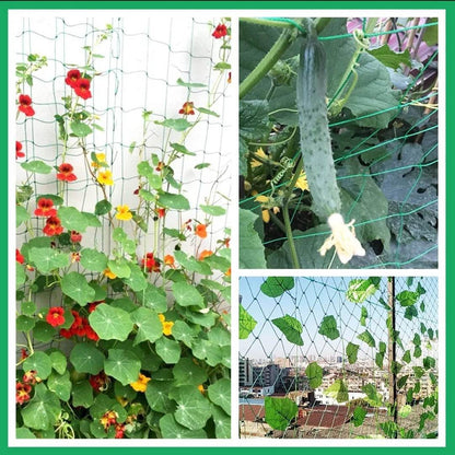 Heavy-Duty Nylon Plant Trellis Netting for Climbing Plants and Vegetables - UrbanSprout