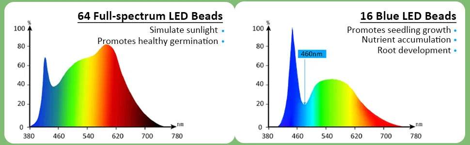 Seed Starter Kit with LED Grow Lights & Timer – 2 Pack, 80 Cells, High Dome Trays - UrbanSprout