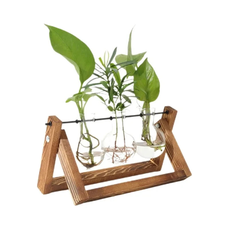 Glass Bulb Planter Wooden Stand