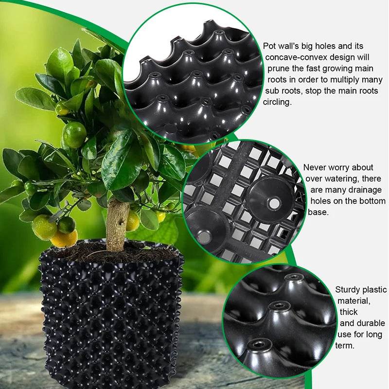 Air Pruning Root Control Nursery Pots for Fast Root Growth - Tree, Bonsai, & Transplant Garden Containers” - UrbanSprout