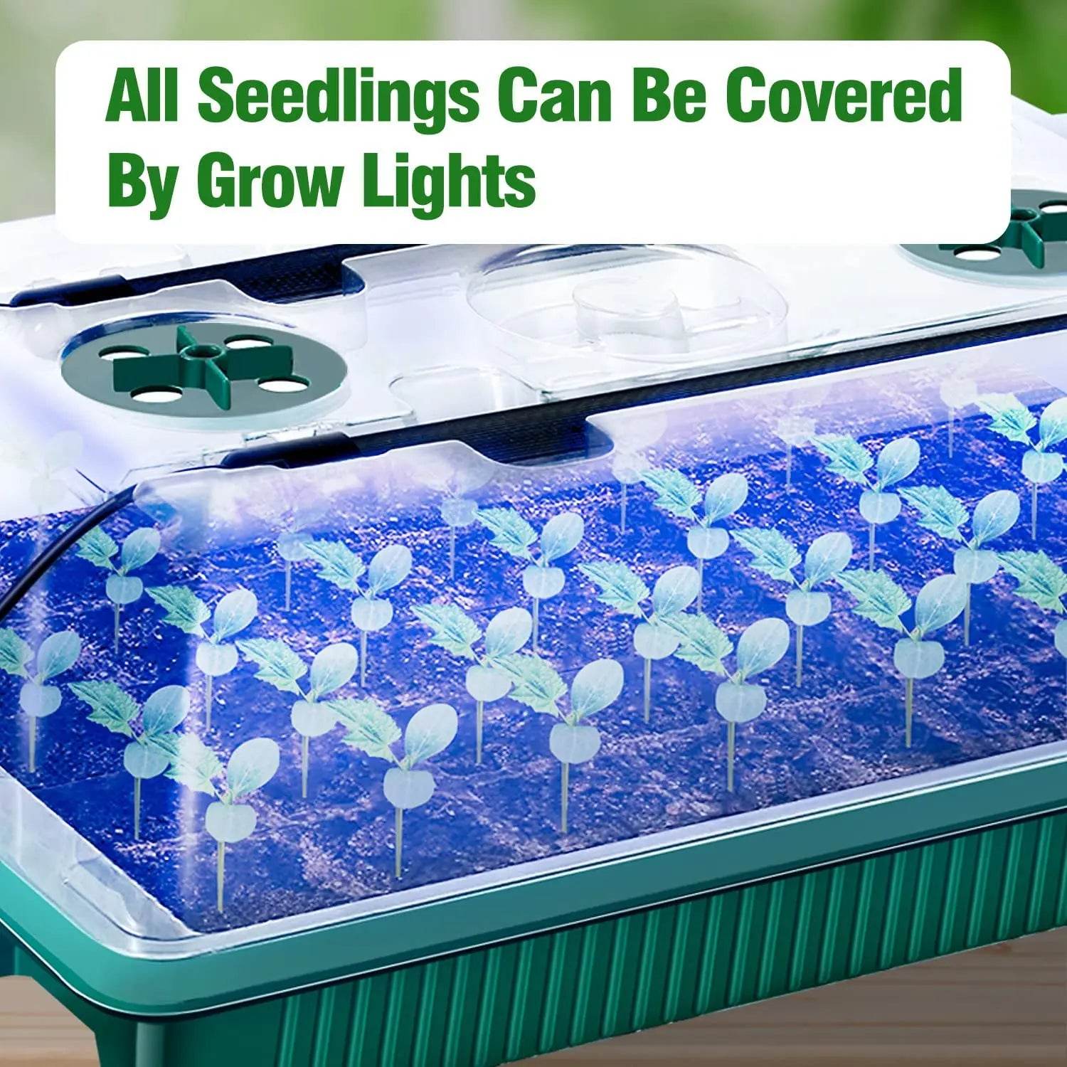 Seed Starter Kit with LED Grow Lights & Timer – 2 Pack, 80 Cells, High Dome Trays - UrbanSprout