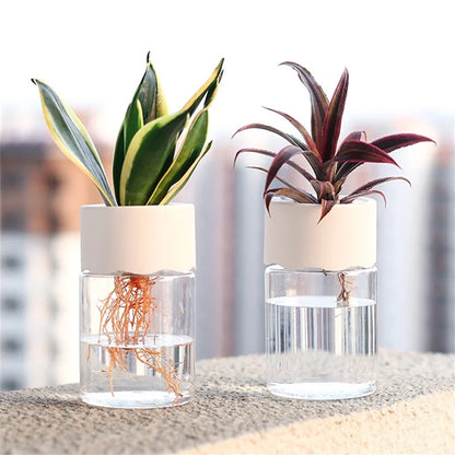 Mini Hydroponic Home Flower Pot