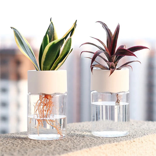 Mini Hydroponic Home Flower Pot