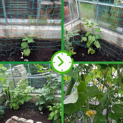 Heavy-Duty Nylon Plant Trellis Netting for Climbing Plants and Vegetables - UrbanSprout