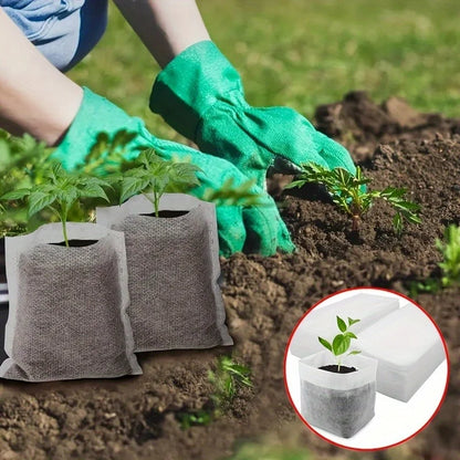Biodegradable Seed Nursery Grow Bags