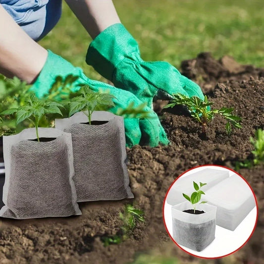 Biodegradable Seed Nursery Grow Bags