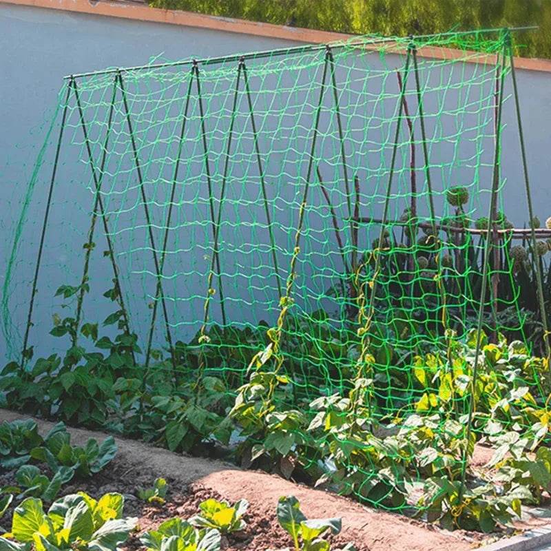 Heavy-Duty Nylon Plant Trellis Netting for Climbing Plants and Vegetables - UrbanSprout