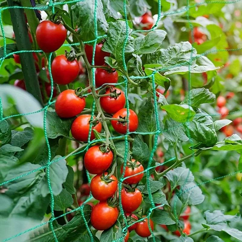 Heavy-Duty Nylon Plant Trellis Netting for Climbing Plants and Vegetables - UrbanSprout