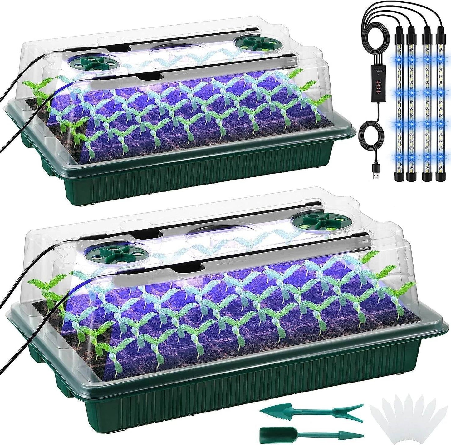 Seed Starter Kit with LED Grow Lights & Timer – 2 Pack, 80 Cells, High Dome Trays - UrbanSprout