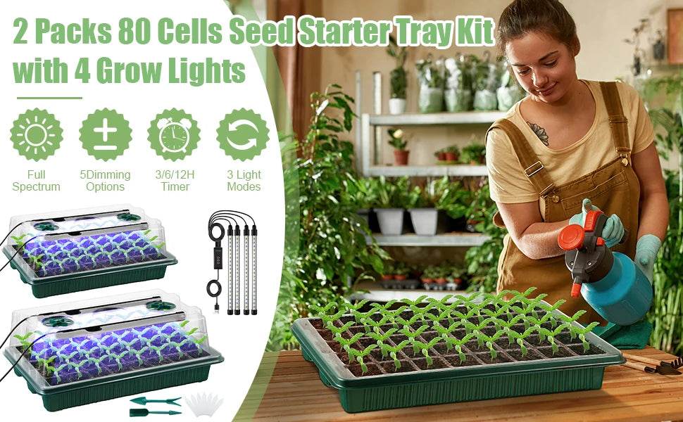 Seed Starter Kit with LED Grow Lights & Timer – 2 Pack, 80 Cells, High Dome Trays - UrbanSprout