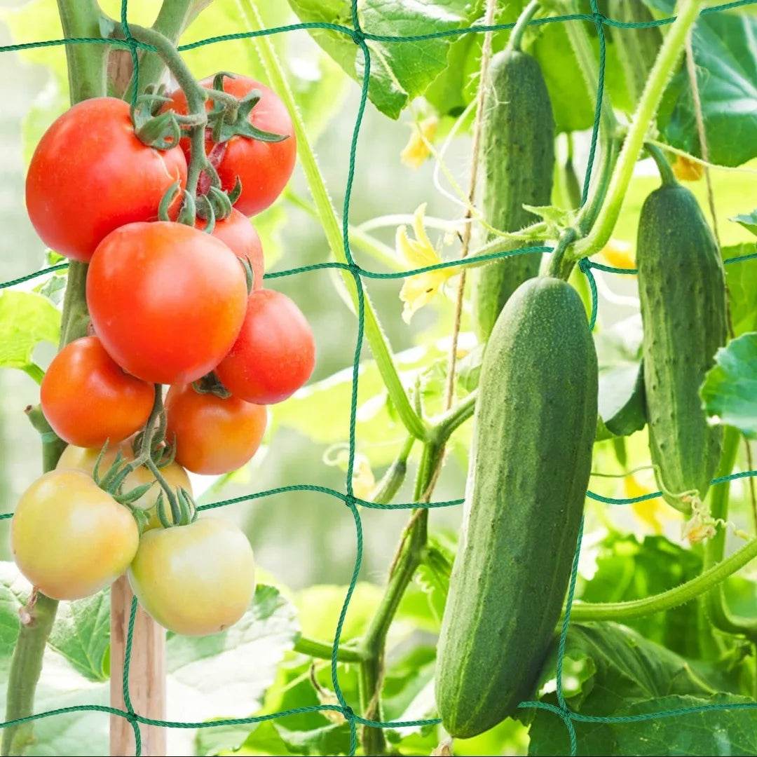 Heavy-Duty Nylon Plant Trellis Netting for Climbing Plants and Vegetables - UrbanSprout