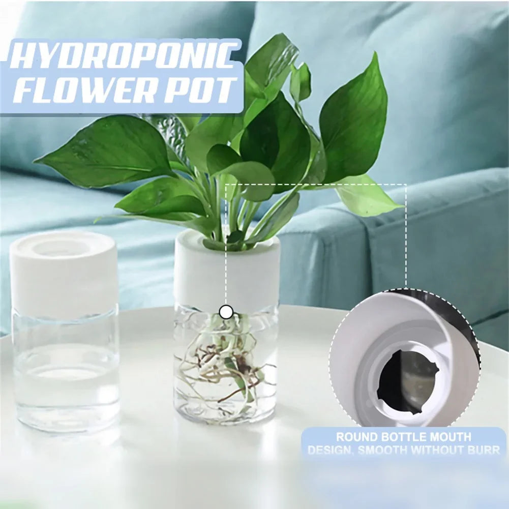 Mini Hydroponic Home Flower Pot