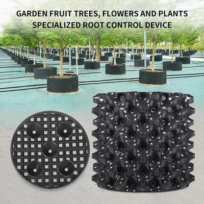Air Pruning Root Control Nursery Pots for Fast Root Growth - Tree, Bonsai, & Transplant Garden Containers” - UrbanSprout