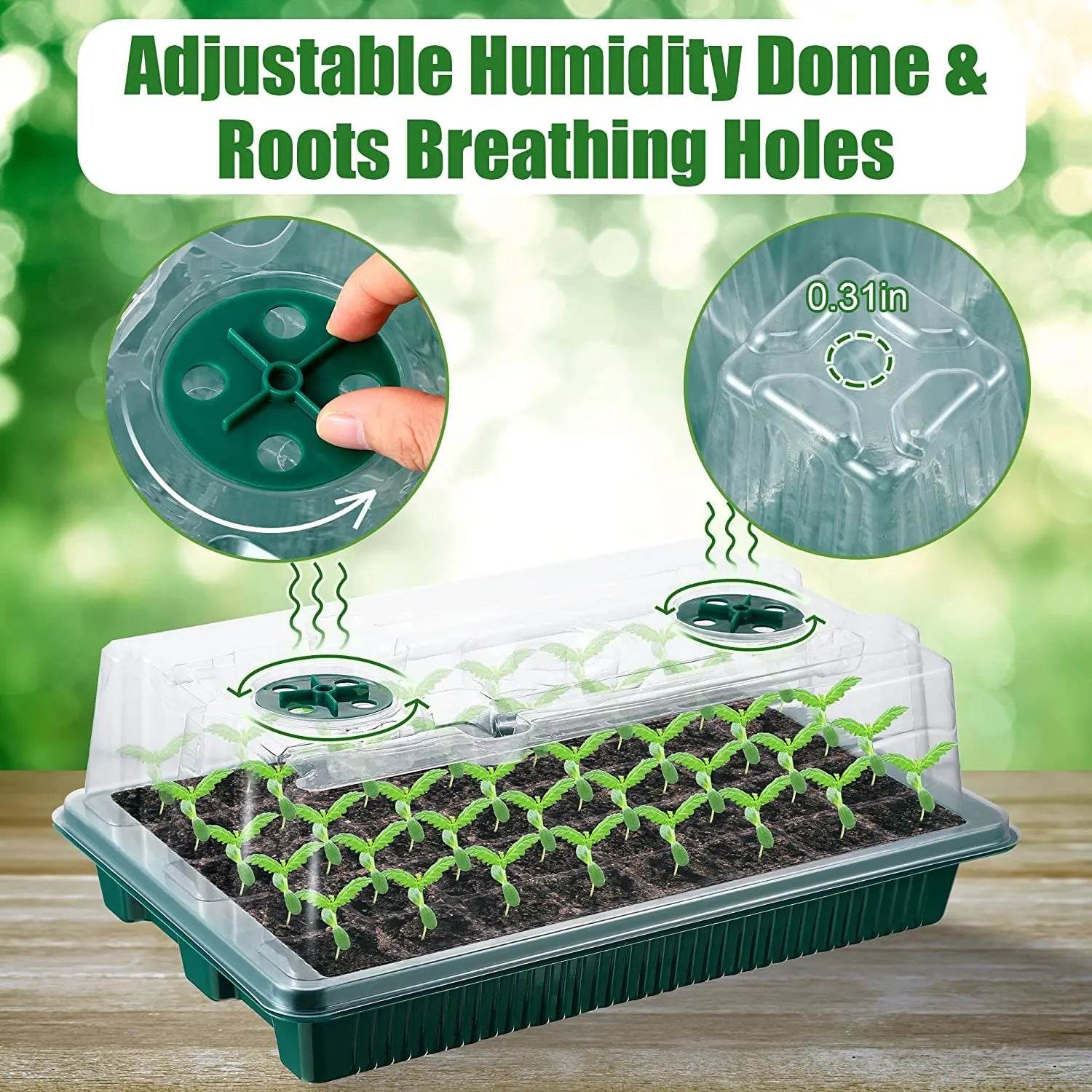 Seed Starter Kit with LED Grow Lights & Timer – 2 Pack, 80 Cells, High Dome Trays - UrbanSprout